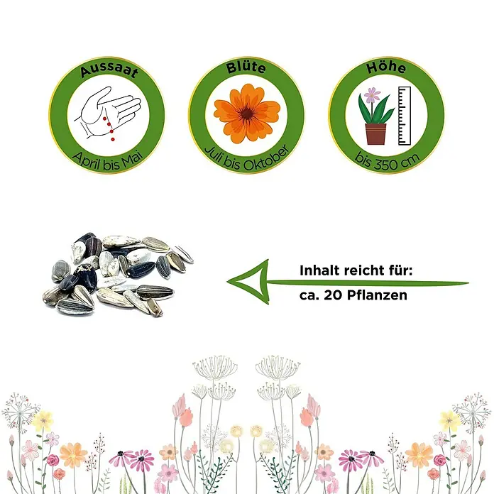 Deine Gartenwelt Sonnenblumen Einfache Riesen -  - Sonnenblumensamen mit Pflanzinfos: Aussaat April-Mai, Blüte Juli-Okt, bis 350cm Höhe. Inhalt reicht für ca. 20 Pflanzen.