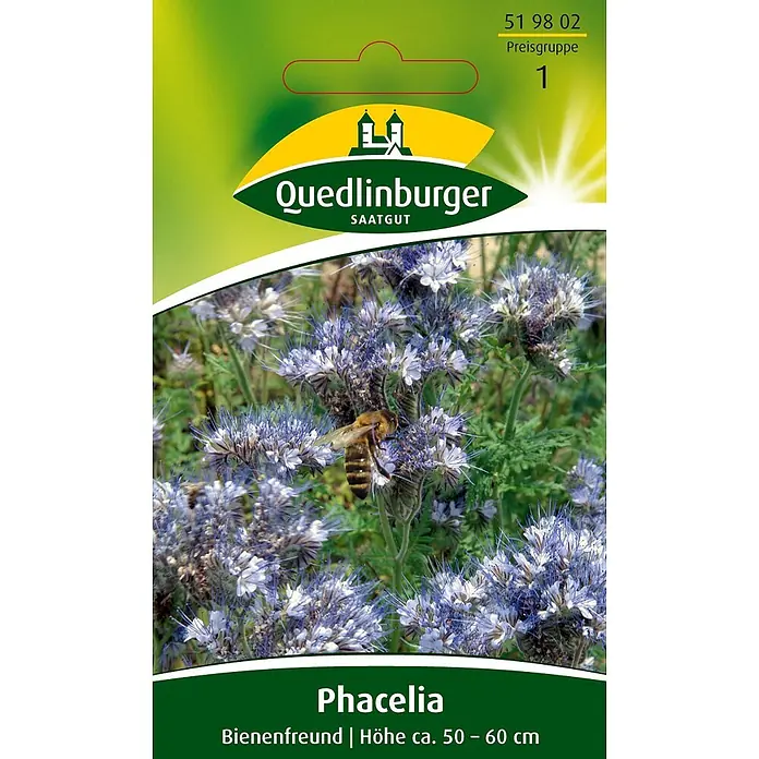 Quedlinburger SAATGUT Phacelia Büschelschön -  - Quedlinburger Phacelia-Saatguttüte mit blau-violetten Blüten und einer Biene, beschriftet als "bienenfreundlich" und "Höhe ca. 50-60 cm".