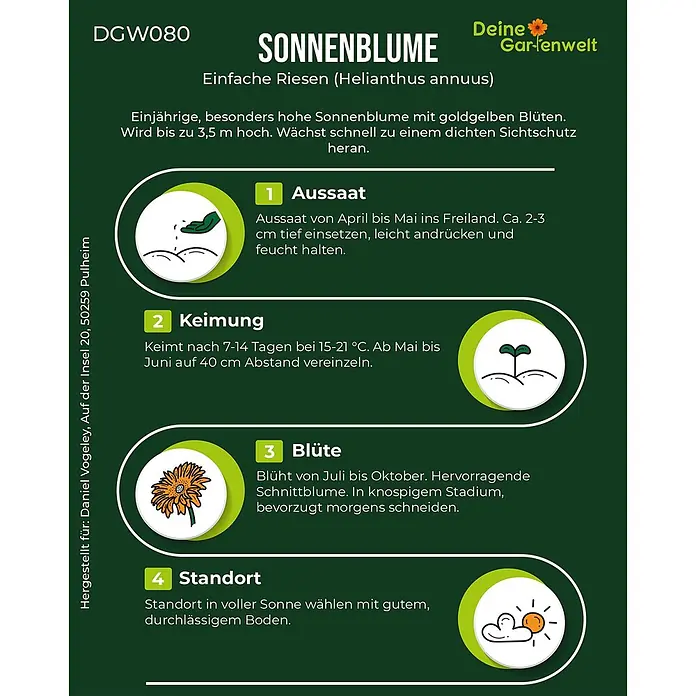 Deine Gartenwelt Sonnenblumen Einfache Riesen -  - Sonnenblumen-Pflanzanleitung auf grünem Grund. Vier nummerierte Schritte mit Text und Piktogrammen: Aussaat, Keimung, Blüte, Standort.