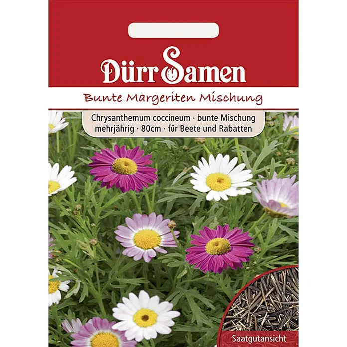 Dürr Samen Blumensamen Margerite - Chrysanthemum c., Mehrfarbig - Dürr Samen Bunte Margeriten Mischung Samenpackung mit farbigen Gänseblümchen und Nahaufnahme der Samen.