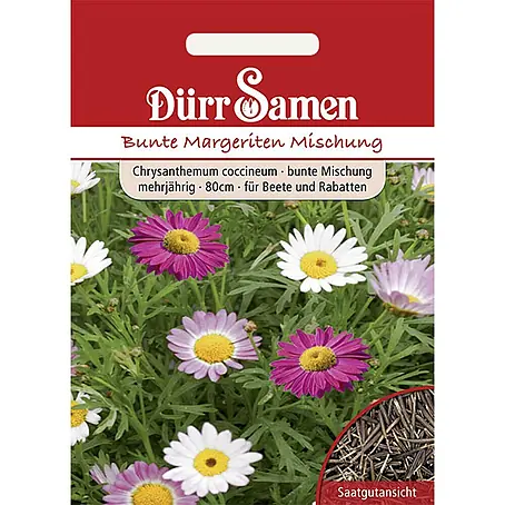 Dürr Samen  Blumensamen Margerite
