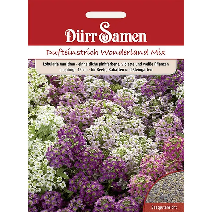 Dürr Samen Duftsteinrich Wonderland Mix einjährig 12cm -  - Dürr Samen Samentüte 'Wonderland Mix' mit weißen, rosa und violetten Duftsteinrich-Blüten.