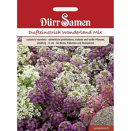 Dürr Samen Duftsteinrich Wonderland Mix einjährig 12cm