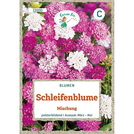Grüne Fee  Blumensamen Schleifenblume