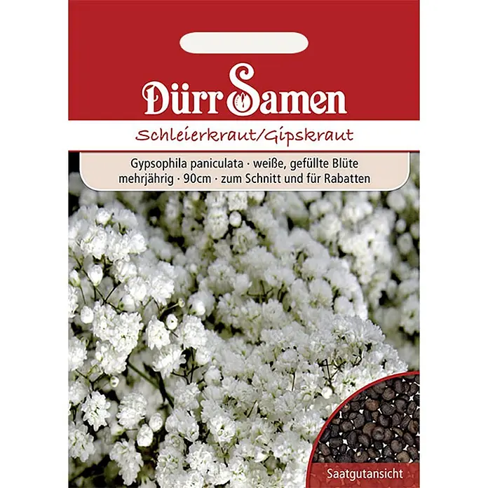 Dürr Samen Schleierkraut gefüllt weiße Blüten mehrjährig 90 cm -  - "Dürr Samen" Samenpäckchen für weißblühendes Schleierkraut (Gypsophila paniculata) mit Abbildung der Blüten und Samen.