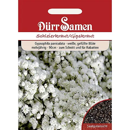 Dürr Samen Schleierkraut gefüllt weiße Blüten mehrjährig 90 cm