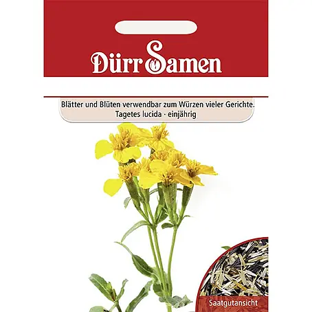 Dürr Samen  Blumensamen Tagetes