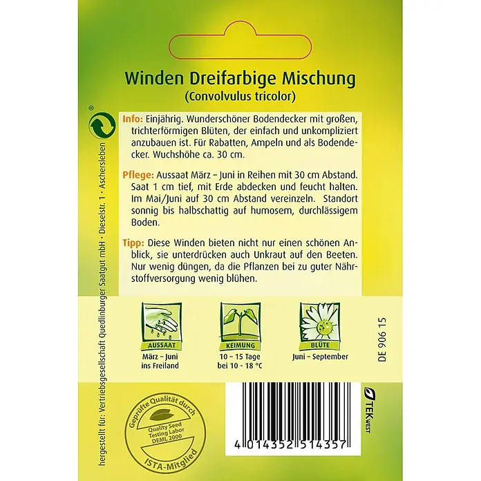 Quedlinburger SAATGUT Blumensamen Winde - Mischung, Mehrfarbig - Samentüte für dreifarbige Winden (Convolvulus tricolor) mit Infos zu Aussaat, Pflege, Blüte und Barcode.