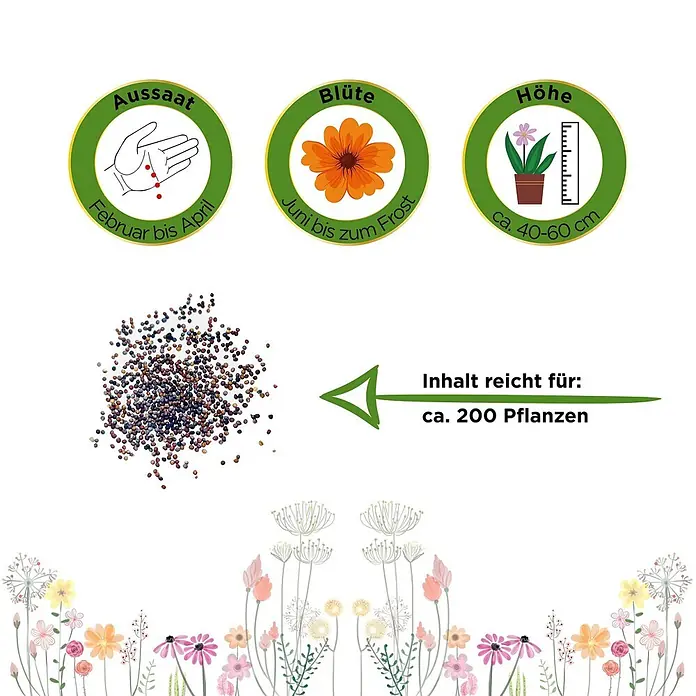 Deine Gartenwelt Petunien Einfache Mischung -  - Informationsgrafik für Pflanzensamen: Aussaat Feb-Apr, Blüte Jun-Frost, Höhe 40-60 cm, ergibt ca. 200 Pflanzen. Samenabbildung enthalten.