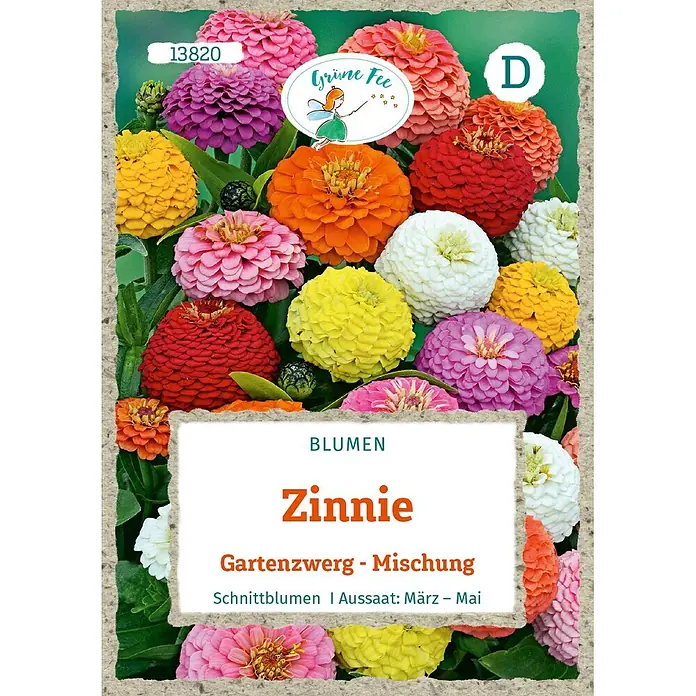 Grüne Fee Blumensamen Zinnie - Zinnia elegans Jacq., Mehfarbig - Bunte Zinnie Gartenzwerg-Mischung Blumensamenpackung mit "Grüne Fee" Logo.