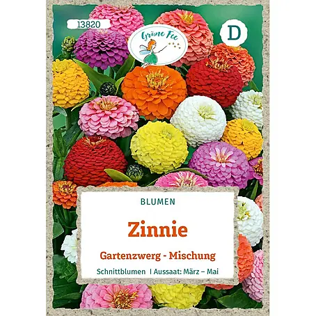 Grüne Fee  Blumensamen Zinnie