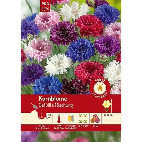Pabst Keimkraft Kornblume Gefüllte Mischung