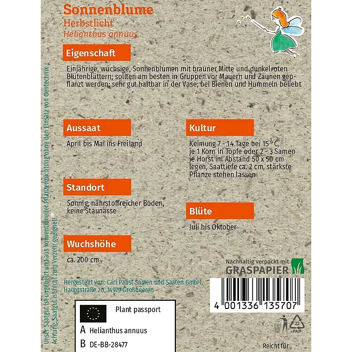Grüne Fee Sonnenblume Herbstlicht -  - Sonnenblumen-Samentüte aus Graspapier mit Pflanzeninformationen, Aussaatanleitung und kleiner Feen-Illustration.