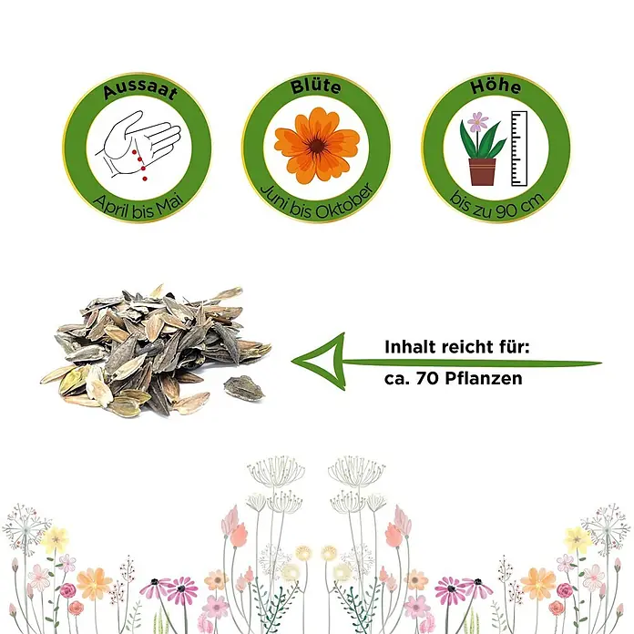 Deine Gartenwelt Zinnie Dahlienblütige Mischung -  - Informationen zu Pflanzensamen: Aussaat (April-Mai), Blüte (Juni-Okt), Höhe (bis 90cm). Samen für ca. 70 Pflanzen enthalten.
