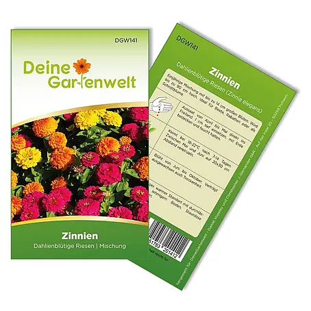 Deine Gartenwelt Zinnie Dahlienblütige Mischung