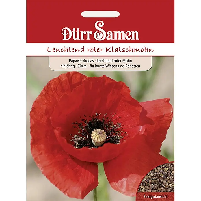 Dürr Samen Blumensamen Mohn - Papaver rhoeas, Rot - Samentüte von Dürr Samen mit einer leuchtend roten Klatschmohnblüte und einer Ansicht der kleinen dunklen Samen.