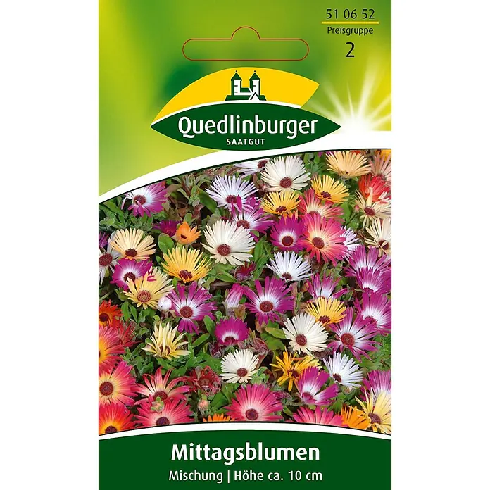 Quedlinburger SAATGUT Blumensamen Mittagsblume - Dorotheanthus bellidiformis (Burm. f.) N.E. Br., Mehrfarbig - Quedlinburger Saatgut Samentüte für eine bunte Mittagsblumen-Mischung mit leuchtenden rosa, weißen, gelben und orangen Blüten.