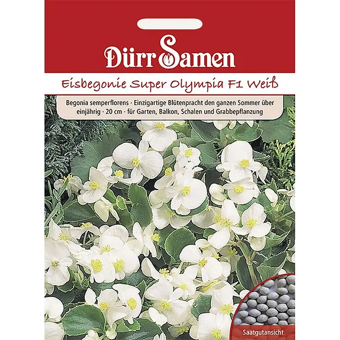 Dürr Samen Eisbegonie Super Olympia F1 Weiß einjährig 20 cm -  - Samenpäckchen Dürr Samen Eisbegonie 'Super Olympia F1 Weiß' mit weißen Blüten und Samenkörnern.
