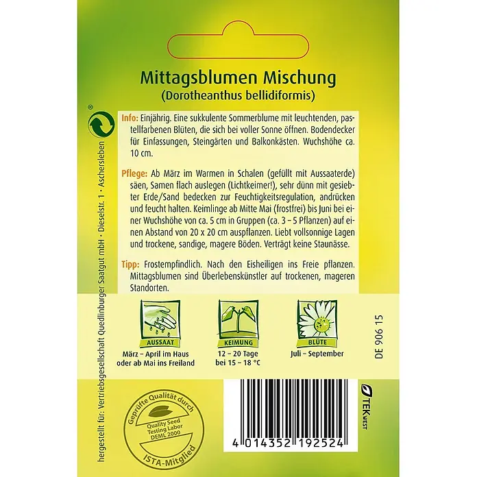 Quedlinburger SAATGUT Blumensamen Mittagsblume - Dorotheanthus bellidiformis (Burm. f.) N.E. Br., Mehrfarbig - Samentüte für Mittagsblumen-Mischung (Dorotheanthus bellidiformis) mit Blüh-, Keim- und Aussaatinfo.