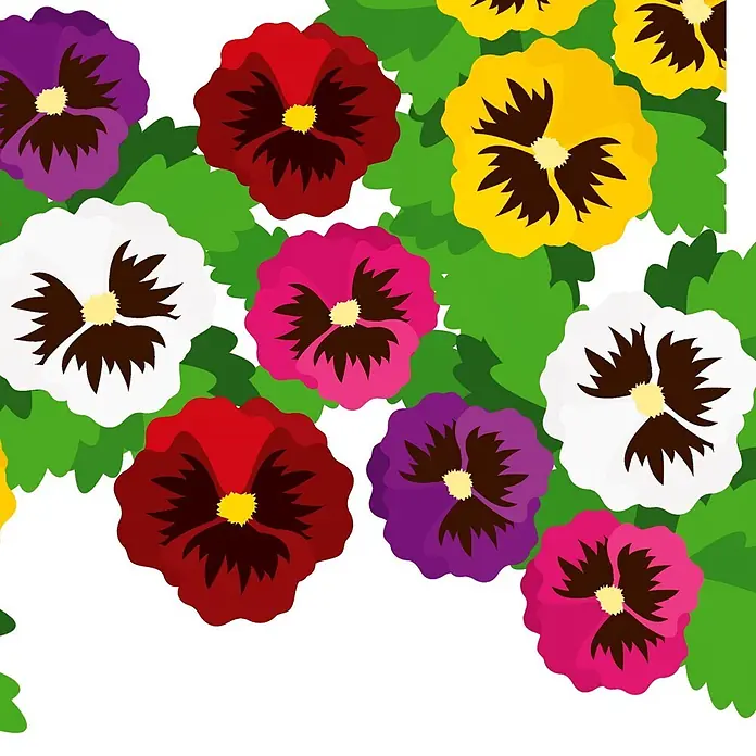 Deine Gartenwelt Stiefmütterchen Schweizer Riesen Mischung -  - Eine lebendige Grenze aus farbenfrohen Stiefmütterchen in Rot, Gelb, Lila, Weiß und Pink, durchsetzt mit grünen Blättern.