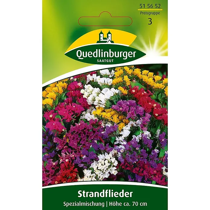 Quedlinburger SAATGUT Blumensamen Strandflieder - Limonium sinuatum, Mehrfabig - Quedlinburger Strandflieder Samenpackung mit einer bunten Mischung aus weißen, gelben, roten, violetten und magentafarbenen Blüten.