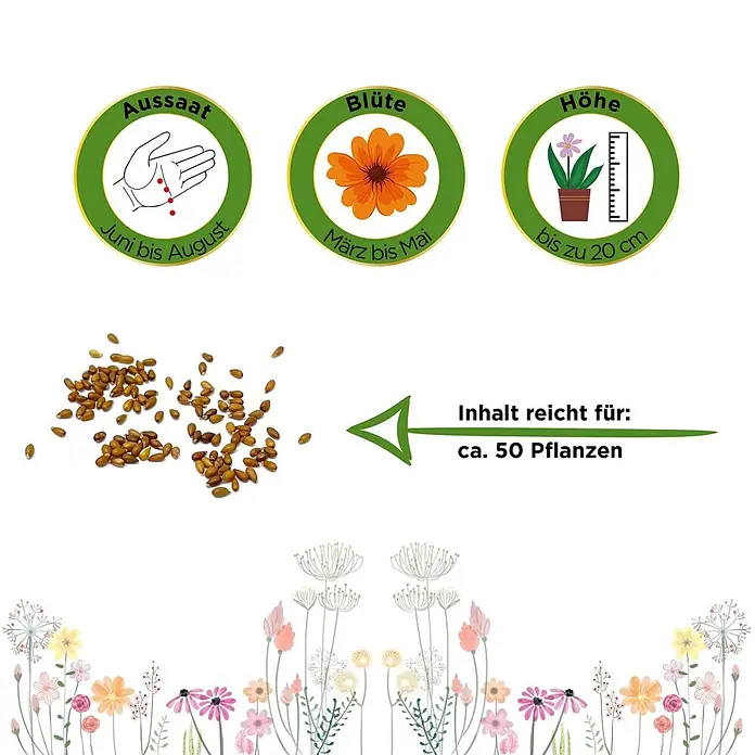 Deine Gartenwelt Stiefmütterchen Schweizer Riesen Mischung -  - Informationen zu Saatgut: Aussaat (Juni-Aug), Blüte (März-Mai), Höhe (bis 20cm), Inhalt reicht für ca. 50 Pflanzen.