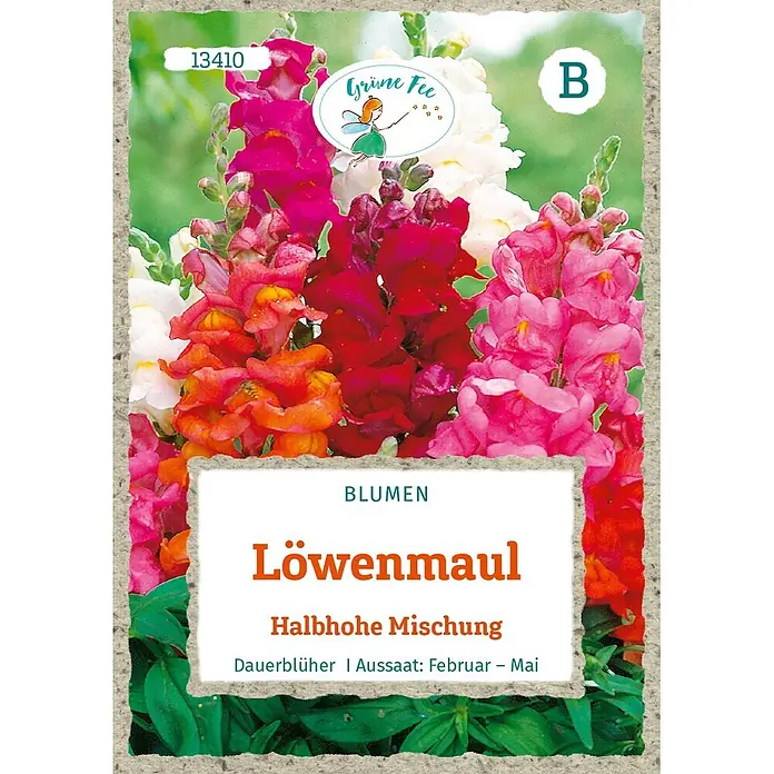 Grüne Fee Löwenmaul Halbhohe Mischung -  - Samenpackung für bunte Löwenmaul-Blumen, eine halbhohe, dauerblühende Mischung. Aussaat Feb-Mai.
