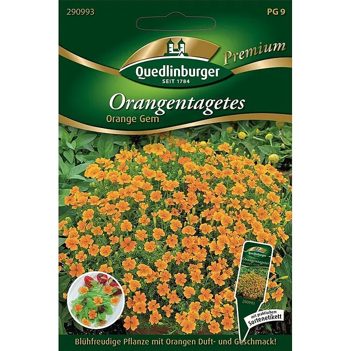 Quedlinburger SAATGUT Orangen-Tagetes Orange GEM -  - Quedlinburger Orangentagetes 'Orange Gem' Samenpäckchen mit leuchtend orangefarbenen Blüten und einem Salateinsatz, der Essbarkeit und Duft betont.