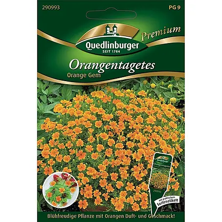 Quedlinburger SAATGUT Orangen-Tagetes Orange GEM