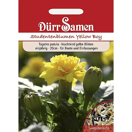 Dürr Samen  Blumensamen Studentenblume