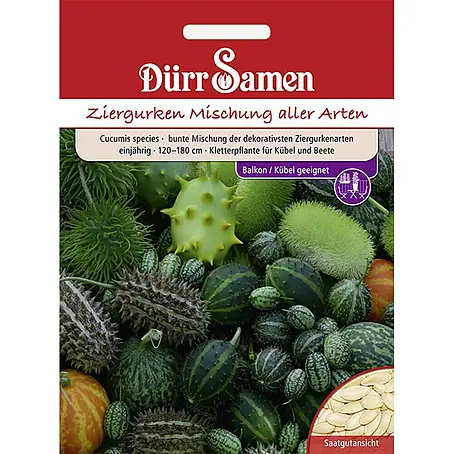 Dürr Samen Ziergurken Bunte Mischung aller Arten einjährig 120-180 cm