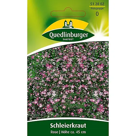 Quedlinburger SAATGUT Schleierkraut Rose