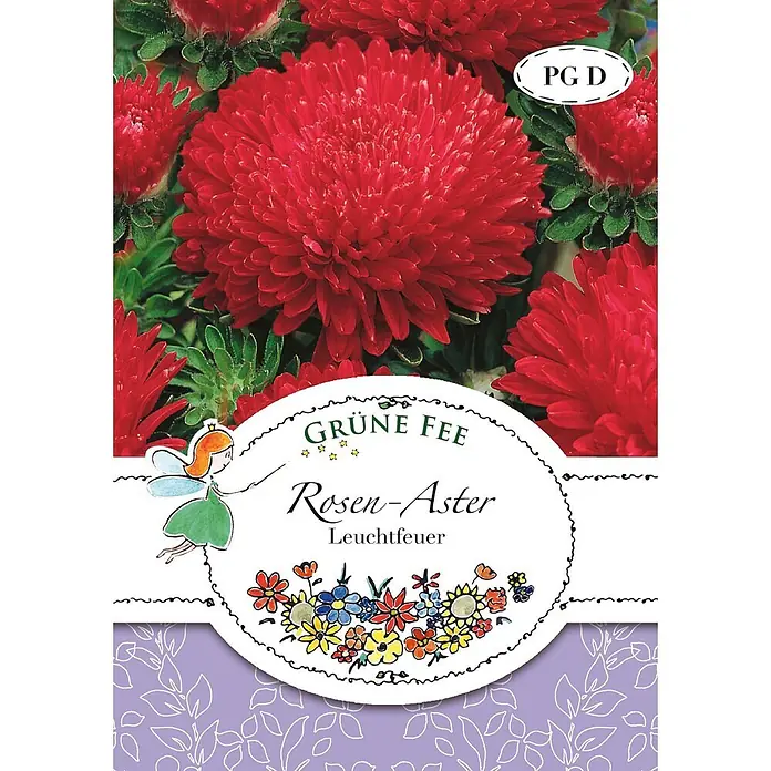 Grüne Fee Blumensamen Aster - Callistephus chinensis (L.) Nees, Rot - Samentüte für rote Rosen-Aster 'Leuchtfeuer', mit einem lebendigen Bild der Blumen.