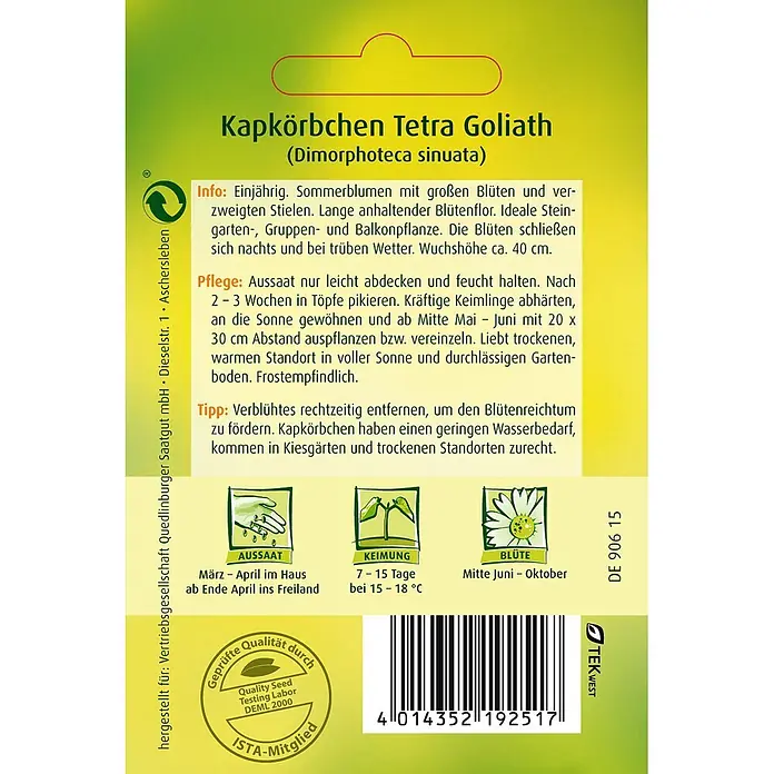 Quedlinburger SAATGUT Blumensamen Kapkörbchen - Dimorphotheca sinuata, Orange - Samenpäckchen Kapkörbchen Tetra Goliath (Afrikanisches Gänseblümchen) mit Pflanzanleitung.