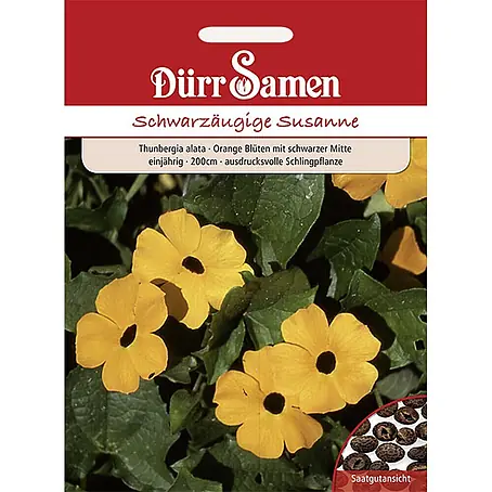 Dürr Samen  Blumensamen Schwarzäugige Susanne