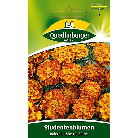 Quedlinburger SAATGUT  Blumensamen Studentenblume