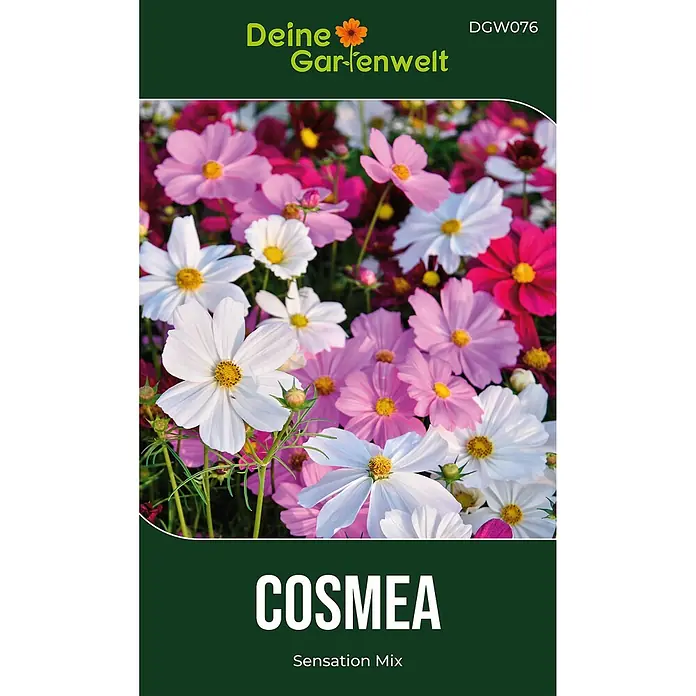 Deine Gartenwelt Cosmea Schmuckkörbchen Sensation Mix -  - Dunkelgrüne Samentüte für Cosmea 'Sensation Mix' Blumen, mit einem Bild bunter rosa, weißer und roter Kosmeenblüten.