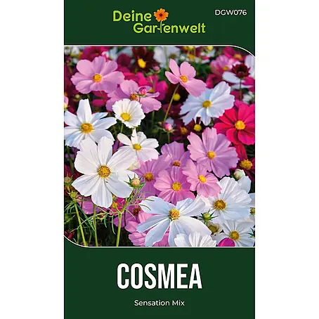 Deine Gartenwelt Cosmea Schmuckkörbchen Sensation Mix