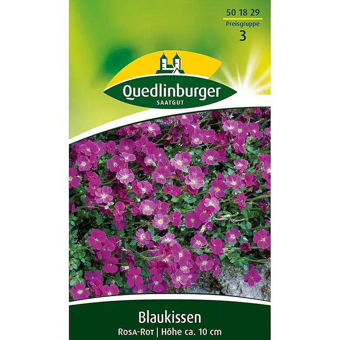 Quedlinburger SAATGUT Blaukissen Rosa-rot -  - Blaukissen-Pflanze mit leuchtend rosa-roten Blüten auf einer Samenpackung.