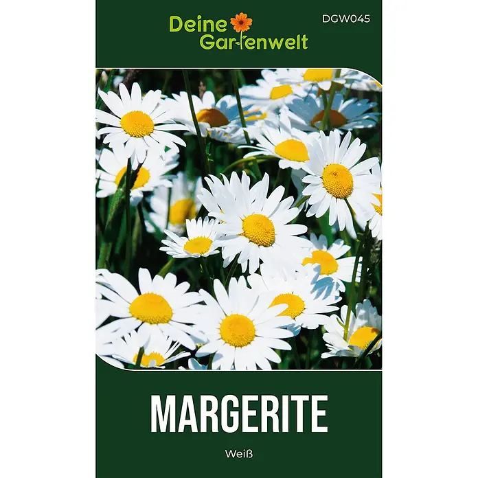Deine Gartenwelt Margerite weiß -  - Dunkelgrüne Samentüte mit weißen Margeriten für Margeriten-Samen.