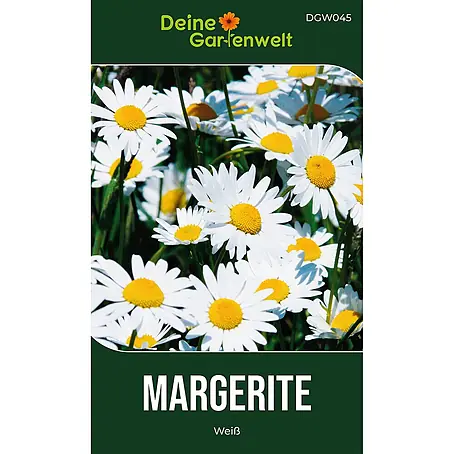 Deine Gartenwelt Margerite weiß