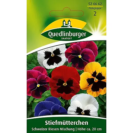 Quedlinburger SAATGUT Stiefmütterchen Schweizer Riesen Mischung