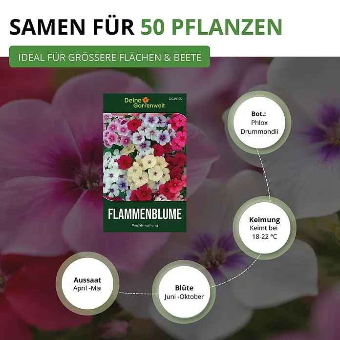 Deine Gartenwelt Flammenblumen Prachtmischung -  - Samenpäckchen für Flammenblume (Phlox Drummondii) mit bunter Blumenmischung. Für 50 Pflanzen, ideal für größere Beete.