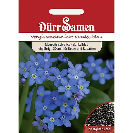 Dürr Samen Vergissmeinnicht Blau einjährig 20 cm