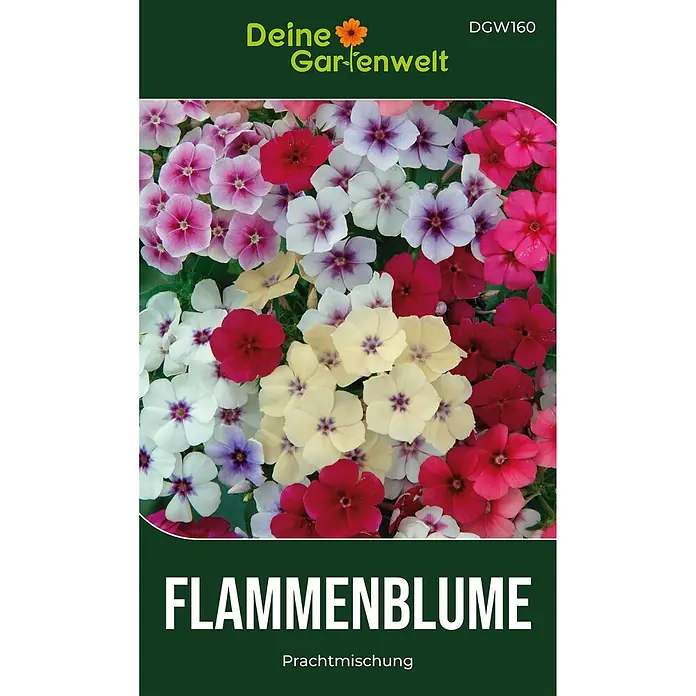 Deine Gartenwelt Flammenblumen Prachtmischung -  - Dunkelgrüne Samentüte mit leuchtend bunten Flammenblumen und "Flammenblume Prachtmischung" Text.