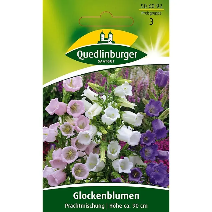 Quedlinburger SAATGUT Glockenblume Prachtmischung -  - Samentüte für Quedlinburger Glockenblumen, mit prächtiger Mischung aus rosa, weißen und violetten Blüten.