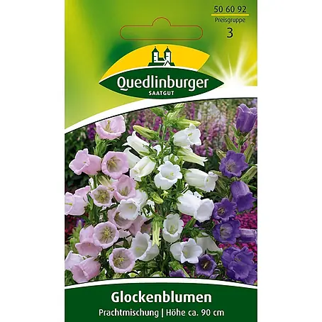 Quedlinburger SAATGUT Glockenblume Prachtmischung