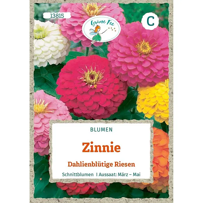 Grüne Fee Blumensamen Zinnie - Zinnia elegans, Mehrfarbig - Samentüte Grüne Fee mit bunten, dahlienblütigen Zinnien und Produktinformationen.