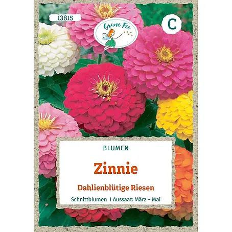Grüne Fee  Blumensamen Zinnie