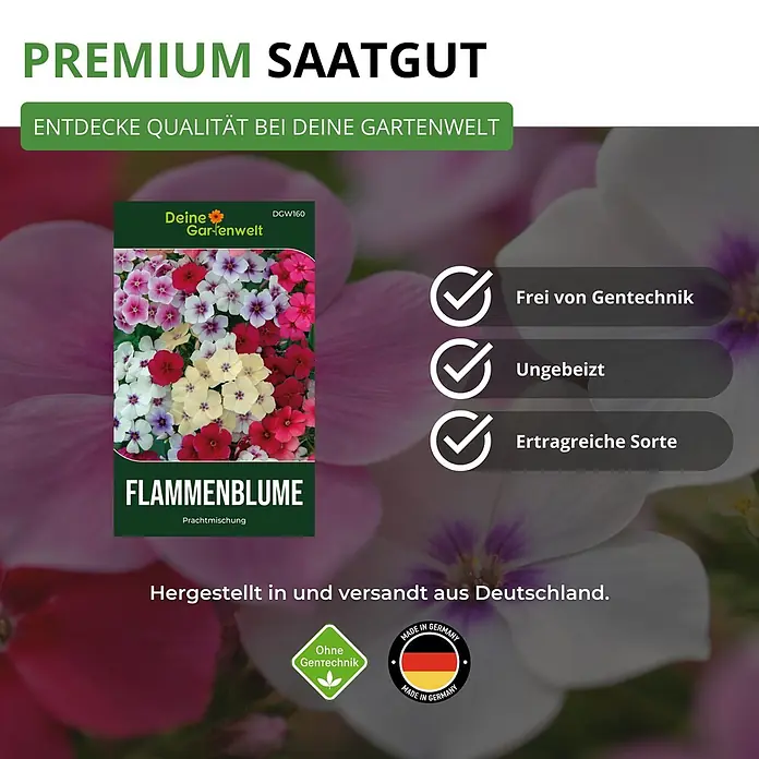 Deine Gartenwelt Flammenblumen Prachtmischung -  - Samenpäckchen für Flammenblumen (Phlox) mit bunter Blütenmischung, Premium Qualität, gentechnikfrei und aus Deutschland.